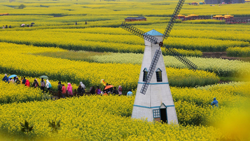 April_Floral_Splendor__High_Speed_Rail__Boosts_Spring_Travel - Namaste Headlines April_Floral_Splendor__High_Speed_Rail__Boosts_Spring_Travel