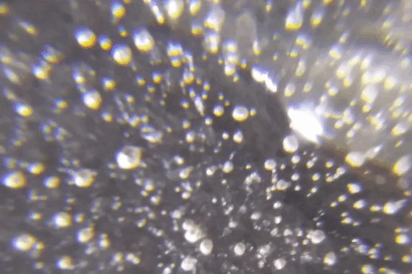 Are Microplastics Behind Italy’s Fertility Crisis? Are_Microplastics_Behind_Italy_s_Fertility_Crisis_