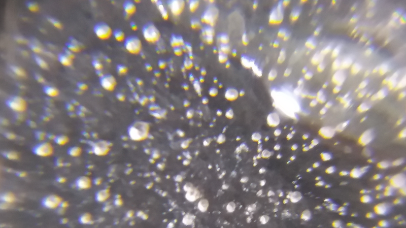 Are_Microplastics_Behind_Italy_s_Fertility_Crisis_