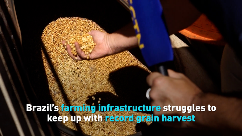 Brazil_s_Record_Grain_Harvest_Faces_Storage_Challenge_poster - Namaste Headlines Brazil_s_Record_Grain_Harvest_Faces_Storage_Challenge video poster