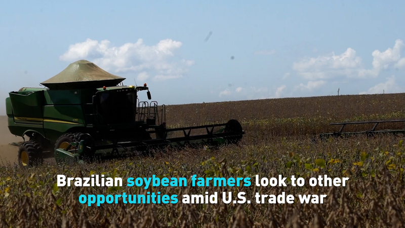 Brazilian_Soybean_Exports_Find_New_Market_in_China_poster - Namaste Headlines Brazilian_Soybean_Exports_Find_New_Market_in_China video poster