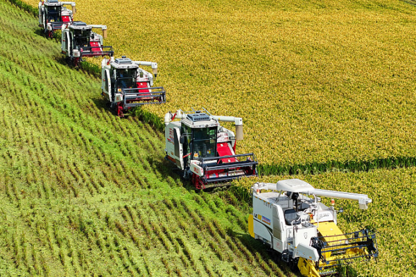 China Launches Bold Agri Modernization Plan China_Launches_Bold_Agri_Modernization_Plan