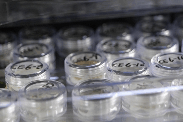 China Opens Lunar Samples to Global Scientists China_Opens_Lunar_Samples_to_Global_Scientists