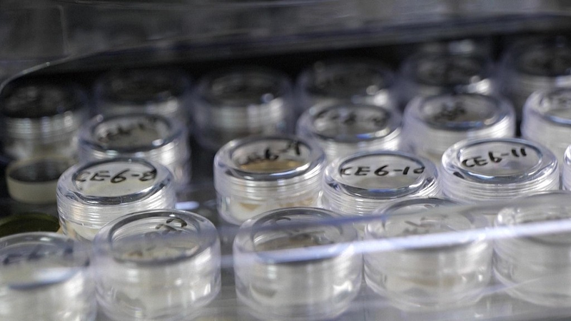 China_Opens_Lunar_Samples_to_Global_Scientists - Namaste Headlines China_Opens_Lunar_Samples_to_Global_Scientists