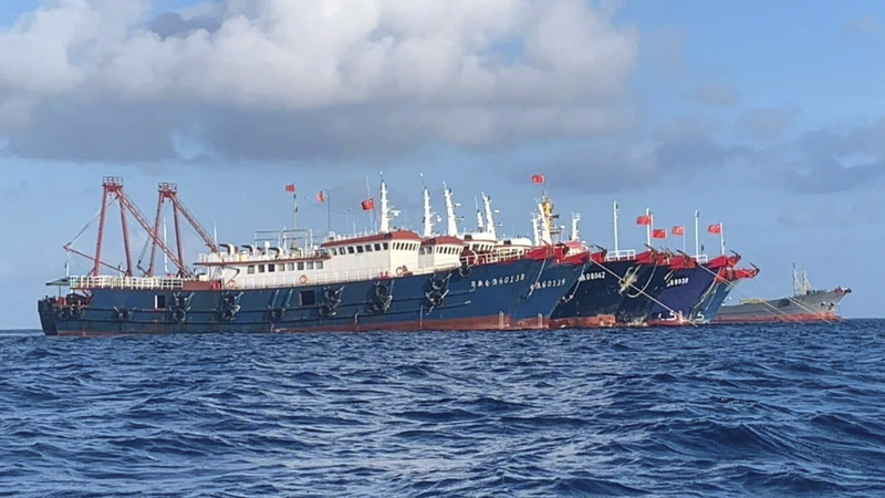 China_s_Coral_Reef_Report__Tiexian_Jiao_Declines__Niu_e_Jiao_Remains_Healthy - Namaste Headlines China_s_Coral_Reef_Report__Tiexian_Jiao_Declines__Niu_e_Jiao_Remains_Healthy