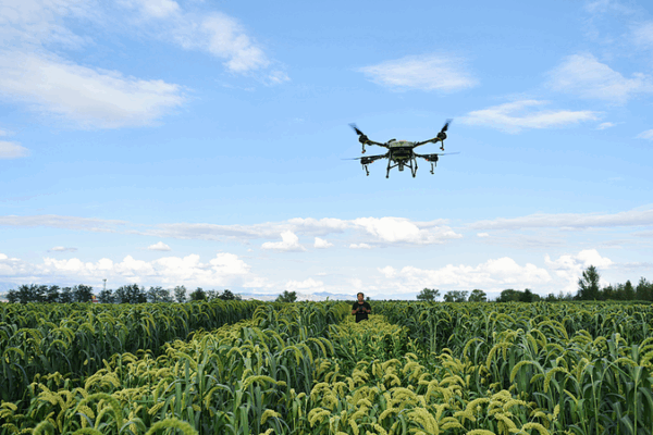 China’s Drone Farming Revolution: Transforming Global Agriculture China_s_Drone_Farming_Revolution__Transforming_Global_Agriculture