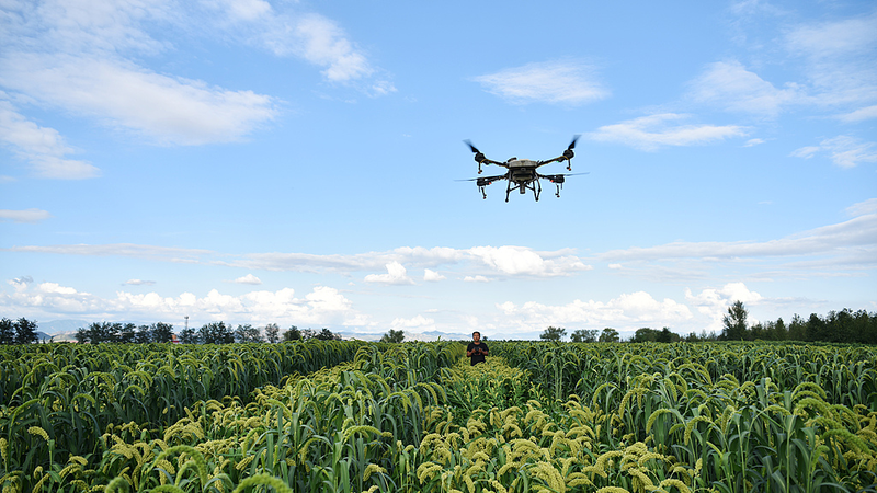 China_s_Drone_Farming_Revolution__Transforming_Global_Agriculture - Namaste Headlines China_s_Drone_Farming_Revolution__Transforming_Global_Agriculture