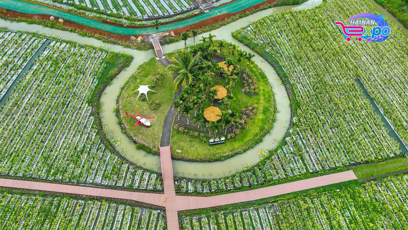 Discover_Qionghai__Hainan_s_Tropical_Fruit_Paradise_poster - Namaste Headlines Discover_Qionghai__Hainan_s_Tropical_Fruit_Paradise video poster