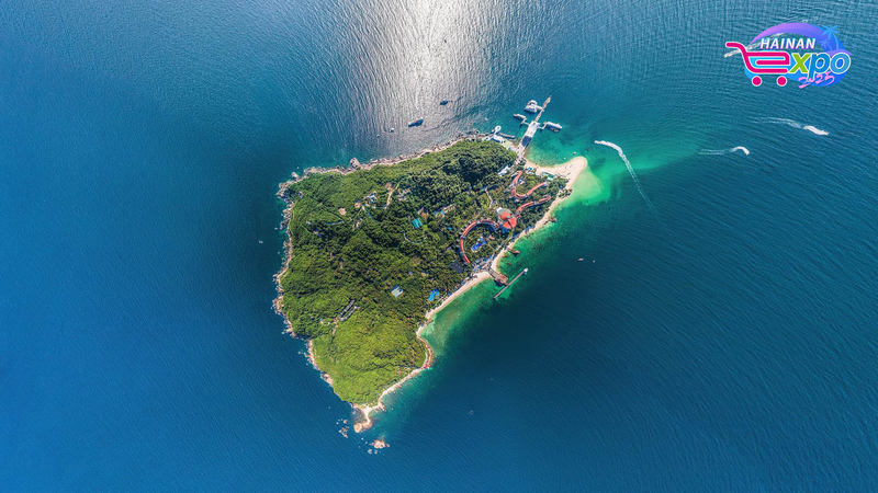 Explore_Wuzhizhou_Island_s_Underwater_Wonders_Live_ video poster