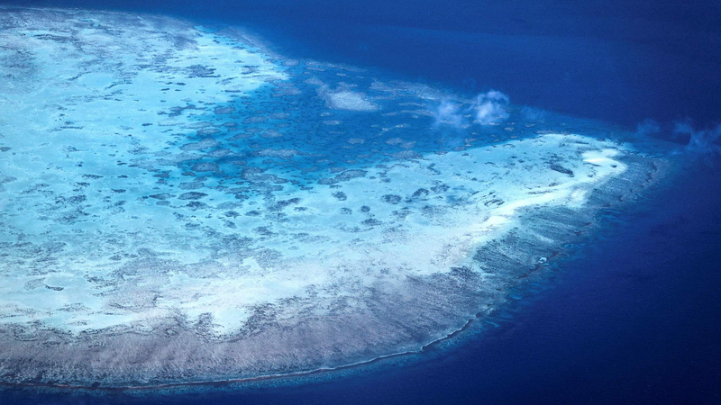 Great_Barrier_Reef_Faces_Sixth_Bleaching_Crisis