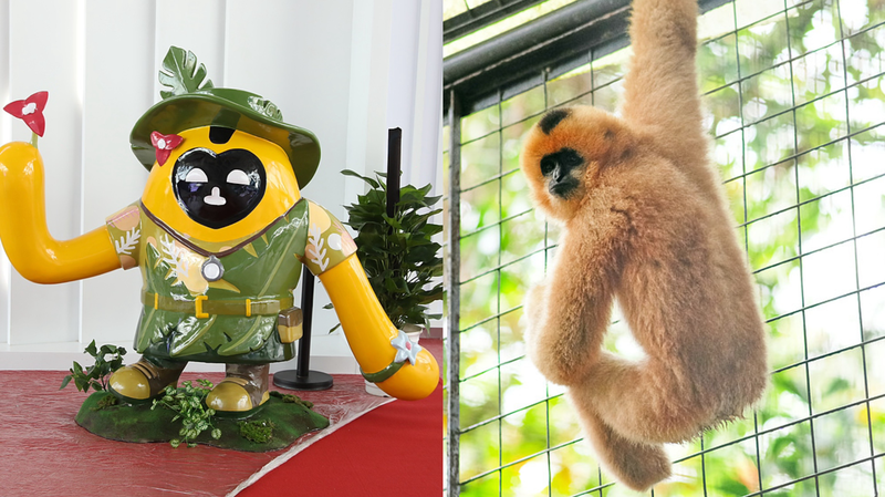 Hainan_Expo_s_Mascot_Magic__A_Tribute_to_Rainforest_Protection