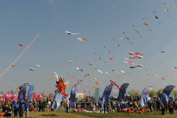 High-Flying Fun: 42nd Weifang International Kite Festival Ignites Shandong Skies! High_Flying_Fun__42nd_Weifang_International_Kite_Festival_Ignites_Shandong_Skies_ video poster