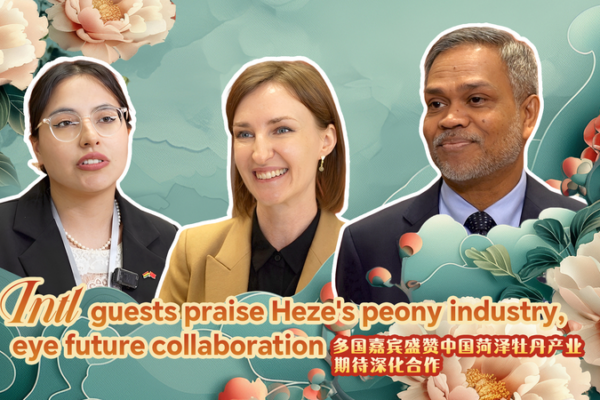 Intl Guests Praise Heze Peonies, Eye Global Partnerships Intl_Guests_Praise_Heze_Peonies__Eye_Global_Partnerships video poster