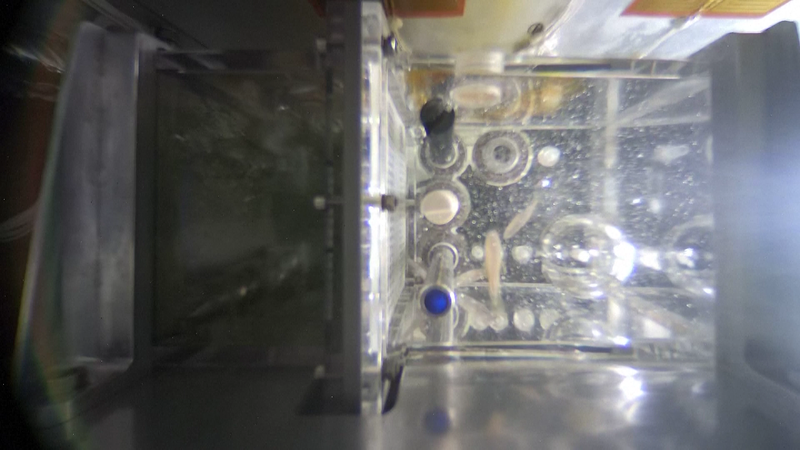 JV0Q97FHG6GG1EI8I4OD - Namaste Headlines Shenzhou-20’s Bold New Life Science Mission