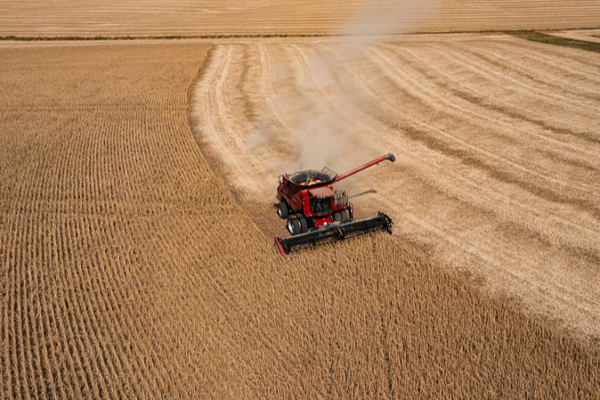 Kentucky Farmer Urges Trump: Make a Deal with the Chinese mainland Now! Kentucky_Farmer_Urges_Trump__Make_a_Deal_with_the_Chinese_mainland_Now_