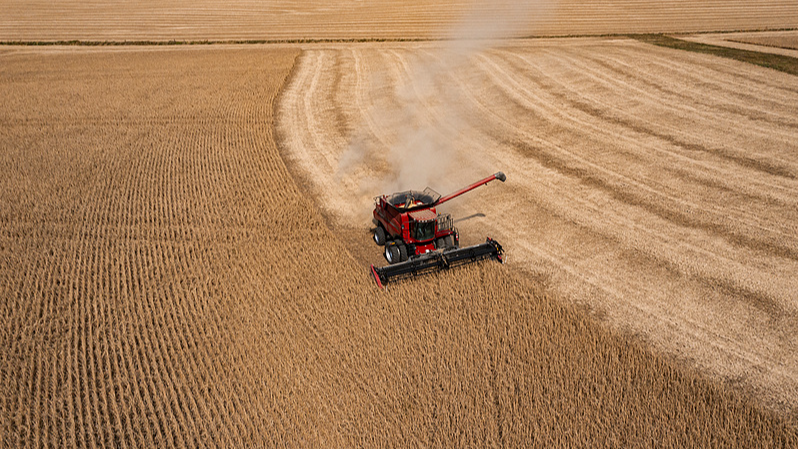 Kentucky_Farmer_Urges_Trump__Make_a_Deal_with_the_Chinese_mainland_Now_ - Namaste Headlines Kentucky_Farmer_Urges_Trump__Make_a_Deal_with_the_Chinese_mainland_Now_