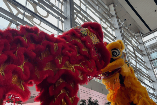 Lion Dance: A Vibrant Bridge Between China and Malaysia Lion_Dance__A_Vibrant_Bridge_Between_China_and_Malaysia video poster