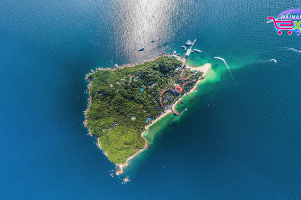 Live Dive: Explore Wuzhizhou Island’s Underwater World Live_Dive__Explore_Wuzhizhou_Island_s_Underwater_World video poster
