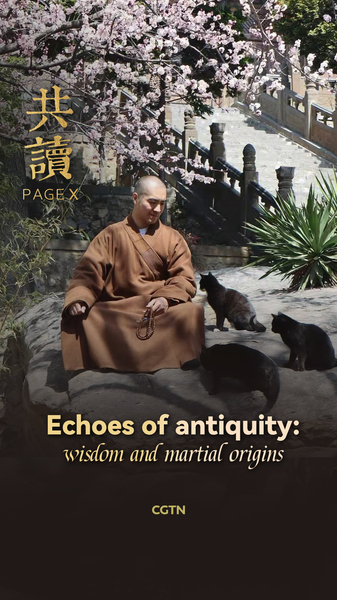 Mindful_Reading__Timeless_Lessons_from_Songshan_Mountain_poster - Namaste Headlines Mindful_Reading__Timeless_Lessons_from_Songshan_Mountain video poster