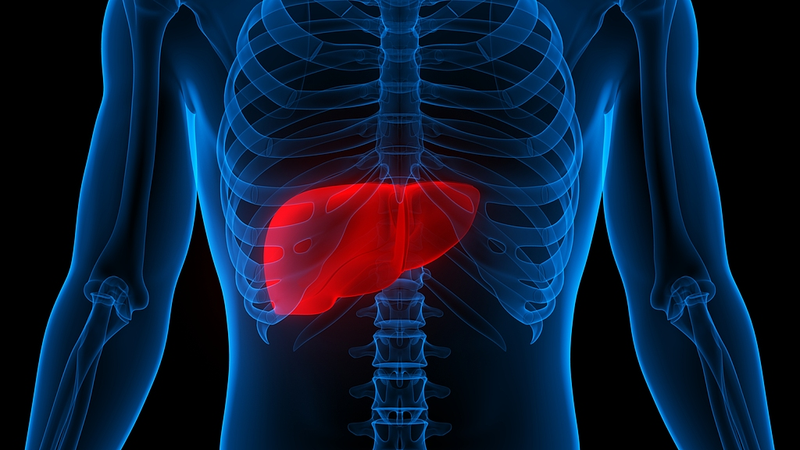 New_Hope_in_Cancer_Fight__Silybin_Disrupts_Tumor_Fuel_Pathway - Namaste Headlines New_Hope_in_Cancer_Fight__Silybin_Disrupts_Tumor_Fuel_Pathway