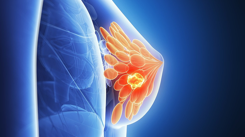 New_Insights_into_Cancer_Dormancy_Spark_Hope_for_Treatments