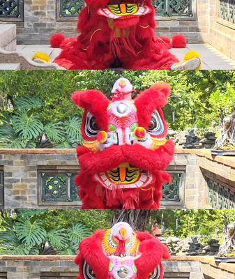 No Chill, Only Fluff: Lion Masters Human Emotions No_Chill__Only_Fluff__Lion_Masters_Human_Emotions video poster