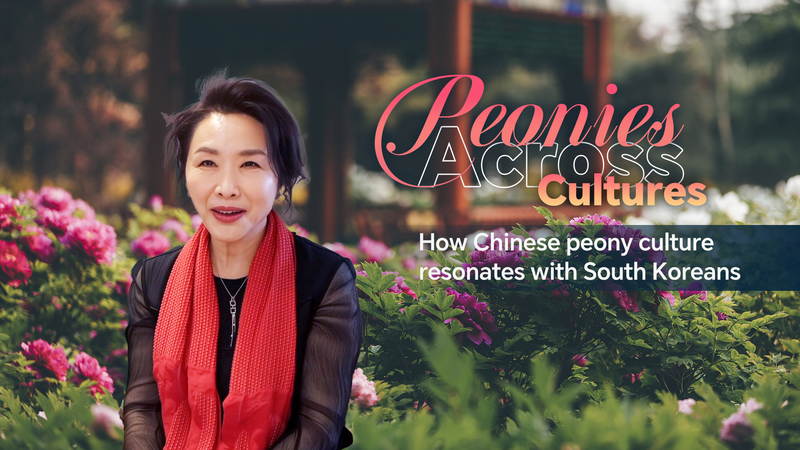 Peony_Power__Chinese_Culture_Inspires_South_Korean_Art_poster - Namaste Headlines Peony_Power__Chinese_Culture_Inspires_South_Korean_Art video poster