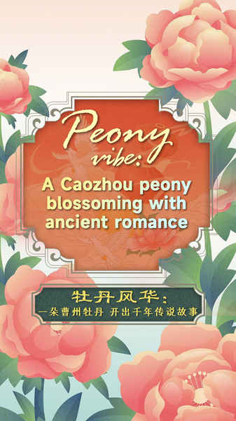 Peony_Vibe__Caozhou_s_Blossoming_Romance video poster