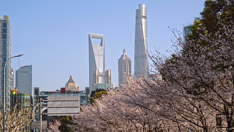 Record_Foreign_Investment_Sparks_Confidence_in_the_Chinese_Market