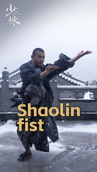 Shaolin_Kung_Fu__Fists_Fly__Inner_Energy_Ignites_poster - Namaste Headlines Shaolin_Kung_Fu__Fists_Fly__Inner_Energy_Ignites video poster