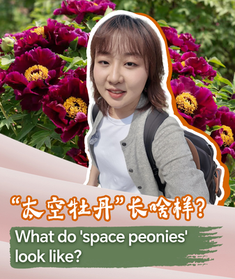 Space Peonies: Blossoms Born in Orbit Space_Peonies__Blossoms_Born_in_Orbit video poster