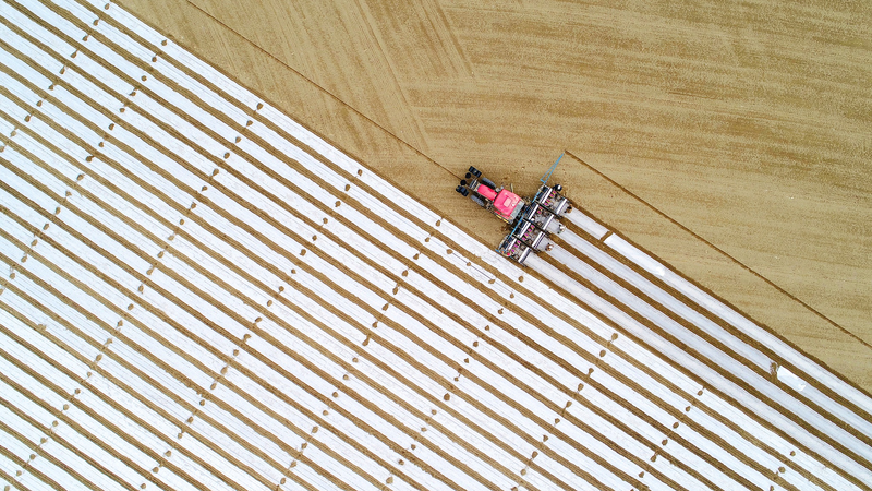 Spring_Awakens__China_Cultivates_Hope_for_Future_Harvests - Namaste Headlines Spring_Awakens__China_Cultivates_Hope_for_Future_Harvests