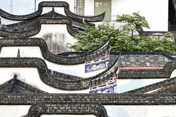 Spring_Blooms__Fuzhou_s_Yijin_Lane_Shines