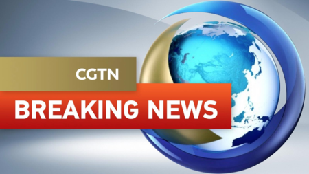 Swedish Reporter Gets Suspended Sentence in Turkey Swedish_Reporter_Gets_Suspended_Sentence_in_Turkey