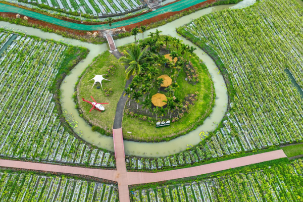 Discover Qionghai’s Tropical Fruit Paradise in Hainan Discover Qionghai’s Tropical Fruit Paradise in Hainan video poster