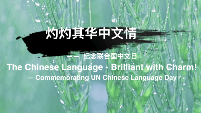 UN_Chinese_Language_Day_Sparks__Brilliant_with_Charm__Song video poster