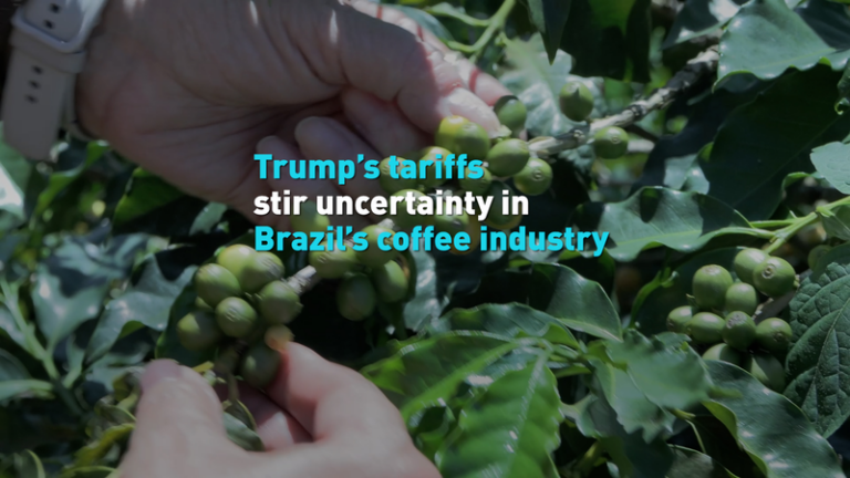 US_Tariffs_Shake_Brazil_s_Coffee_Market_Amid_Supply_Crunch video poster