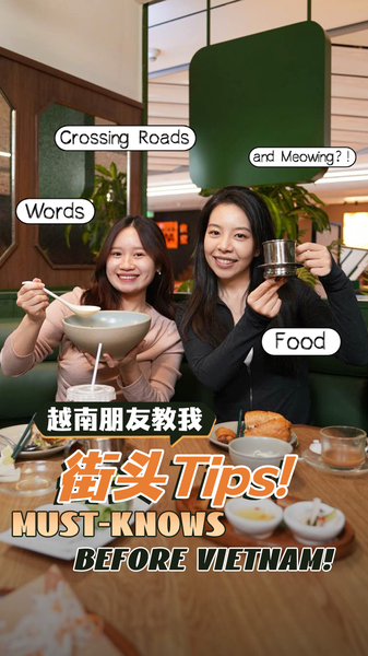 Vietnam_101__A_Local_s_Guide_to_Food__Phrases___Fearless_Streets_poster - Namaste Headlines Vietnam_101__A_Local_s_Guide_to_Food__Phrases___Fearless_Streets video poster