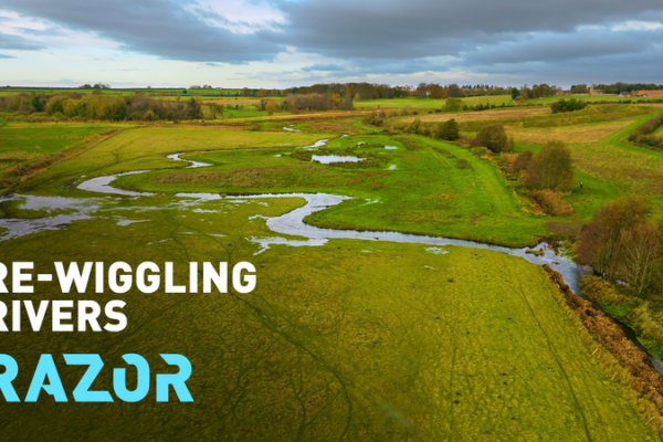 Wiggle_It_Back__Reviving_Our_Rivers video poster