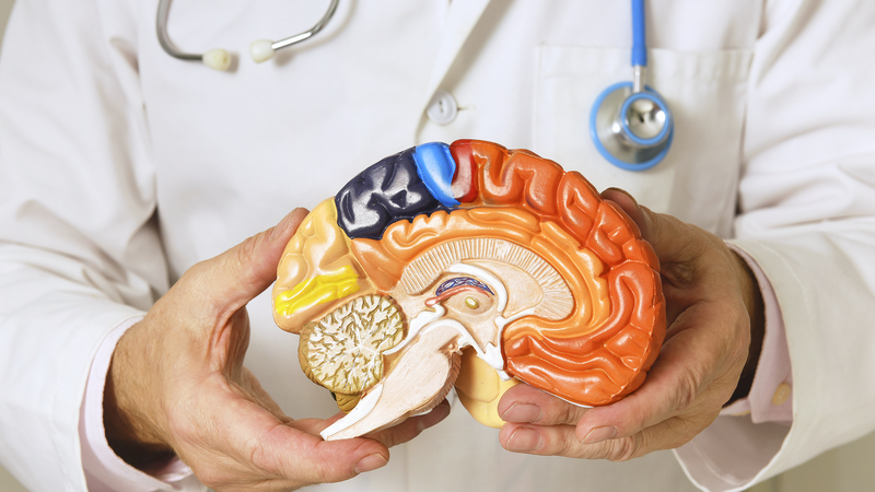 World_Parkinson_s_Day__Quick_Guide_to_PD_Awareness