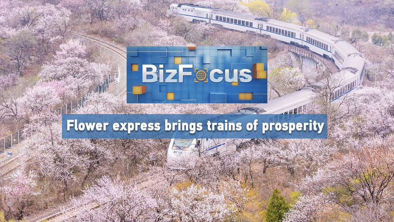 Xi_an_s_Flower_Express__Blossoms_on_the_Move_poster - Namaste Headlines Xi_an_s_Flower_Express__Blossoms_on_the_Move video poster