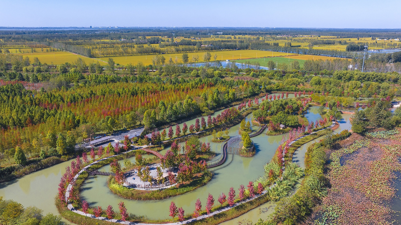 903 Wetland Parks: 20 Years of Eco Triumph on the Chinese Mainland 903_Wetland_Parks__20_Years_of_Eco_Triumph_on_the_Chinese_Mainland