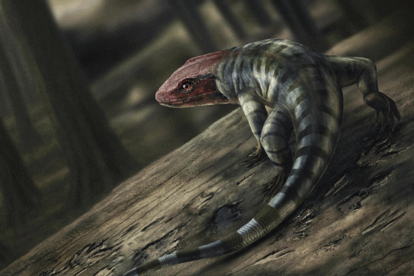 Ancient Footprints: Rapid Evolution on Land Revealed Ancient_Footprints__Rapid_Evolution_on_Land_Revealed