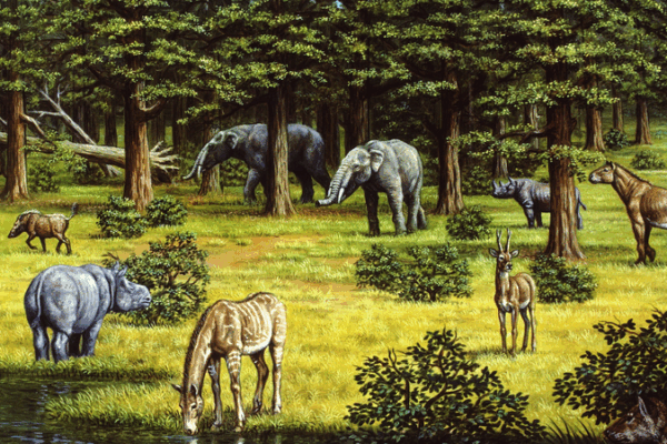 Ancient Vegetation Fueled Miocene Climate Shifts, Study Reveals Ancient_Vegetation_Fueled_Miocene_Climate_Shifts__Study_Reveals