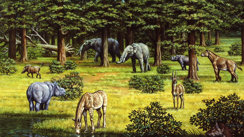 Ancient_Vegetation_Fueled_Miocene_Climate_Shifts__Study_Reveals