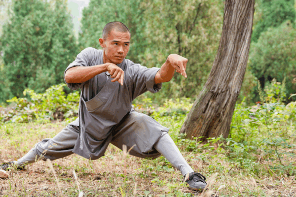 Animal-Imitation Boxing: Nature’s Martial Mastery Animal_Imitation_Boxing__Nature_s_Martial_Mastery