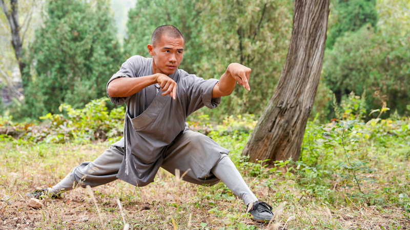 Animal_Imitation_Boxing__Nature_s_Martial_Mastery - Namaste Headlines Animal_Imitation_Boxing__Nature_s_Martial_Mastery