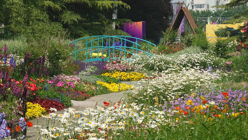 Beijing’s Haidian Park Blooms as a Living Monet Garden Beijing_s_Haidian_Park_Blooms_as_a_Living_Monet_Garden