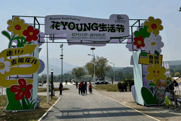 Blooms in Beijing: Roses, Heritage & Modern Creativity Blooms_in_Beijing__Roses__Heritage___Modern_Creativity video poster