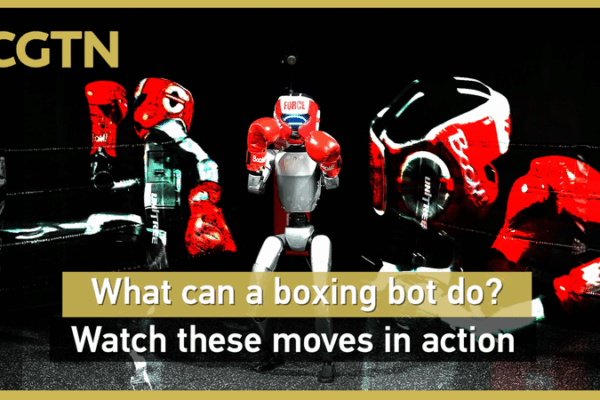 Boxing Bots Knock Out Limits in Hangzhou Boxing_Bots_Knock_Out_Limits_in_Hangzhou video poster